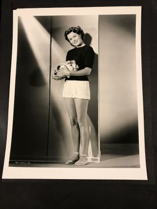 Nancy Gates - Actress Vintage 8 X 10 Photograph From Irving Klaws Archives 2