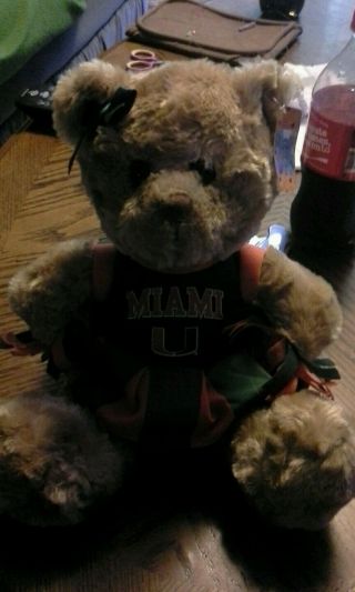 Miami Hurricanes 8.  5 - Inch Stuffed Animal Bear With Cheerleader Dress And Shakers