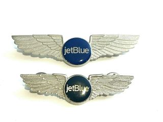 2 Jetblue Wings First Officer And Flight Attendant