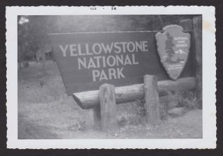 Roadside Sign Yellowstone National Park Old/vintage Photo Snapshot - T360