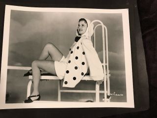Monica Lewis - Actress Vintage 8 X 10 Photograph From Irving Klaws Archives 3