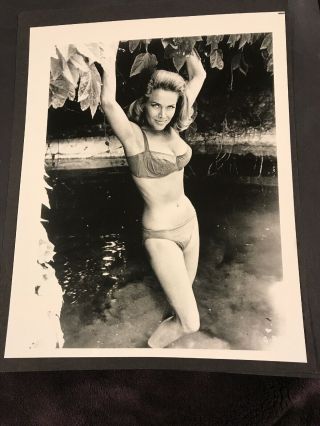 Honor Blackman - Actress Vintage 8 X 10 Photograph From Irving Klaws Archives 1