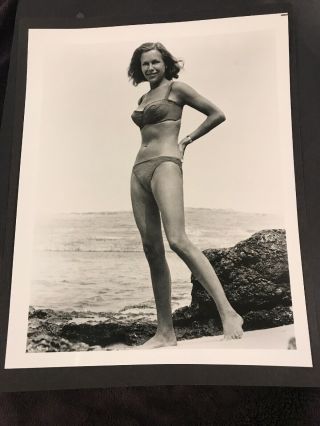 Honor Blackman - Actress Vintage 8 X 10 Photograph From Irving Klaws Archives 6