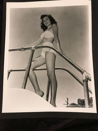 Barbara Hale Actress Vintage 8 X 10 Photograph From Irving Klaws Archives 3