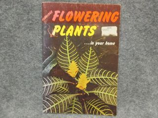 Vintage 1961 Fabulous Flowering Plants Booklet Book By Dr.  Robert E.  Atkinson