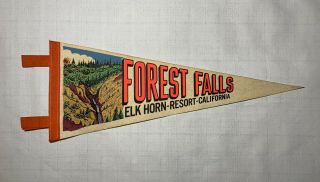 Vintage 1960s Forest Falls Elk Horn Resort California Felt Camp Pennant 19” Rare