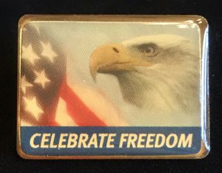 Vintage American Patriotic Flag Usa Bald Eagle Lapel Pin