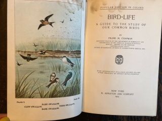 Bird Life Frank M.  Chapman 1907 Hardcover Vintage Book Color Plates Guide Study 3