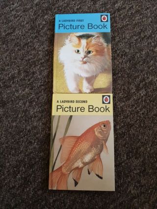Vintage Ladybird Series 704 1st And 2nd Picture Books B8 Vgc