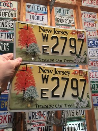 Jersey Treasure Our Trees Graphic License Plate Pair We 2797 Nj Matched Set