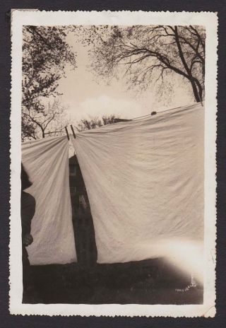 Sheets Hanging Clothesline Clothespins 1/4 Lady Old/vintage Photo Snapshot - T298