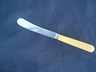 Vintage Faux Bone Handle Pate Knife Firth England