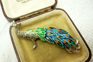 Vintage Jewellery Enamel Marcasite Peacock Tropical Bird Brooch Pin