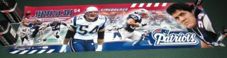 Signed & Certified Tedy Bruschi England Patriots Poster 12 " X36 " Awesome