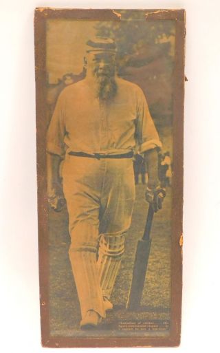 Vintage Collectable Photo/newspaper Cutting Of Cricketer W G Grace Mounted - H42