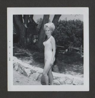 Lqqk Vintage 1969,  Gorgeous Blonde Girl Next Door Bathing Beauty 8