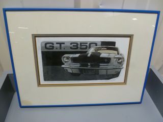 Painting 1965 Shelby G.  T.  350 Framed 18 " X 13 "
