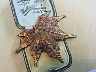 Vintage Costume Jewellery Organic Leaf Dipped In Copper And Gold Toned Metal