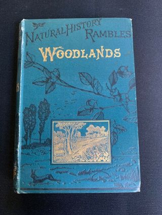 Natural History Rambles - The Woodlands,  London 1885