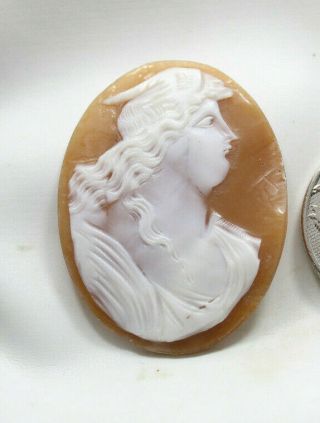 Vintage Art Deco Carved Shell Cameo Loose High Relief Carved Unmounted 39.  6mm 2