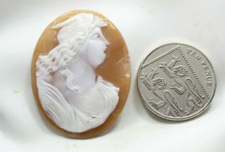 Vintage Art Deco Carved Shell Cameo Loose High Relief Carved Unmounted 39.  6mm 3