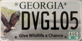 2010 ‘s Georgia Give Wildlife A Chance Eagle License Plate