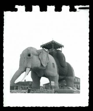 Vintage Mid - Century Snapshot Photo 1950s Lucy The Elephant Margate Nj