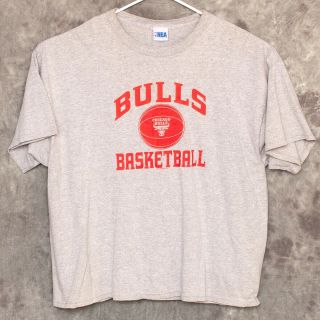 Nba Chicago Bulls Mens T Shirt Size 2xl Gray
