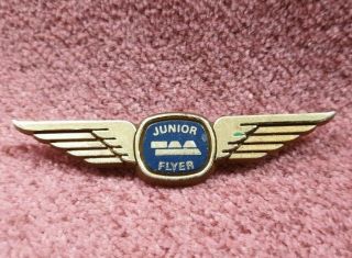 Vintage Taa Junior Flyer Wing Badge 2