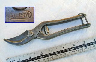 Vintage 8  Gilbow " Brand Secateurs By J W Ward,  Old Tool