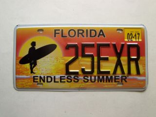 Florida Endless Summer License Plate