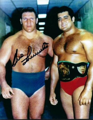 M2085 Bruno Sammartino Signed Wrestling Photo W/coa Bonus