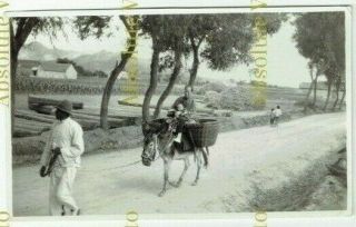 Old Chinese Postcard Size Photo Rural Scene Wei Hai Wei China Vintage 1920s