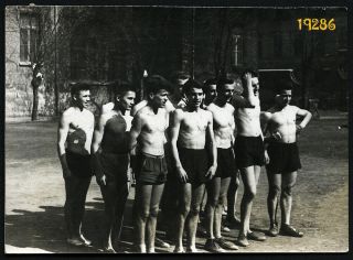 Shirtless Strong Boys Posing In Shorts,  Vintage Photograph,  1950’s