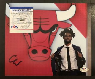 Coby White Chicago Bulls Signed Autographed 8x10 Photo - Psa/dna (2)