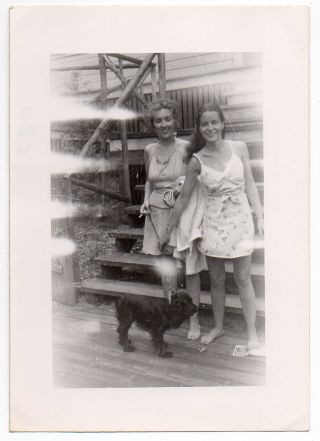 Barefoot Young Ladies In Sundresses Outdoors W Cocker Dog Vintage Photo Snapshot