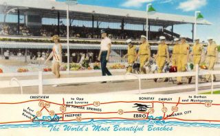 Washington County Kennel Club Dog Racing Track,  Ebro,  Fl C1950s Vintage Postcard