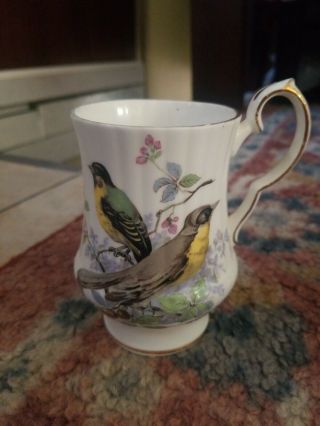 Vintage Royal Windsor Fine Bone China Bird/floral Tea Cup (england)