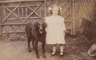 Old Vintage Photo Children Girl Dress Pet Dog Animal F4