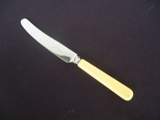 Vintage Grosvenor Faux Bone Handle Dinner Knife 23.  2cm