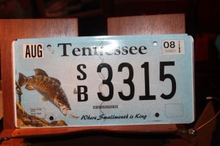 2008 Tennessee License Plate Where Smallmouth Bass Is King Sb3315