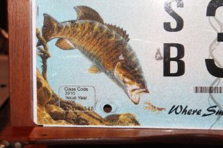 2008 Tennessee License Plate Where Smallmouth Bass is King SB3315 3