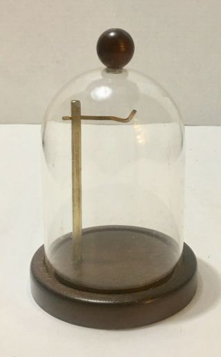 Vintage Pocket Watch Plastic Dome Display Cloche Case W/ Wooden Stand Base