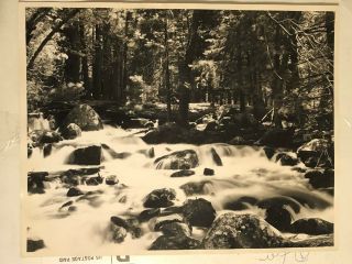 Vintage Black And White Photography Of Yosemite Valley Size 14 " X11 "