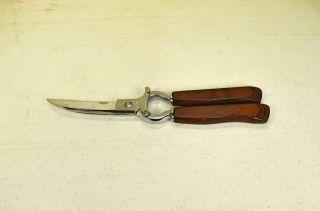 Vintage Regent Poultry Shears Made In Italy Hot Dropped Forged Steel
