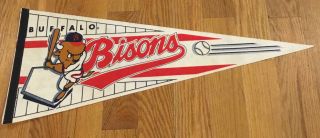 Vintage Milb Buffalo Bisons Baseball Pennant Pilot Field