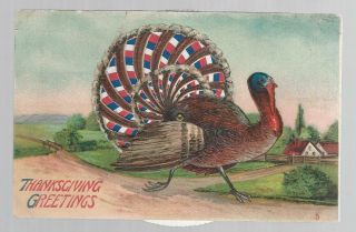 Vintage Odd Thanksgiving Turkey Card With Kinetic Art Moving Color Feathers