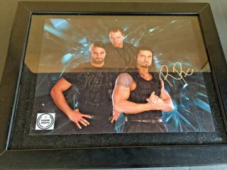 Wwe The Shield Rollins Reigns Ambrose 8x10 Signed Autograph With Picture Frame
