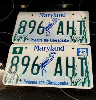 1995 Maryland License Plate (896 Aht) " Treasure The Chesapeake " (blue Heron)