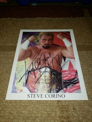 Wwf Autograph 8x10 Steve Corino Live Signature Wwe Wcw Ecw Tna